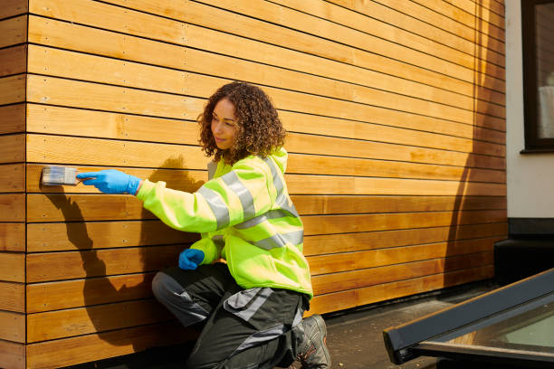 Best Custom Trim and Detailing for Siding  in Clinton, IA